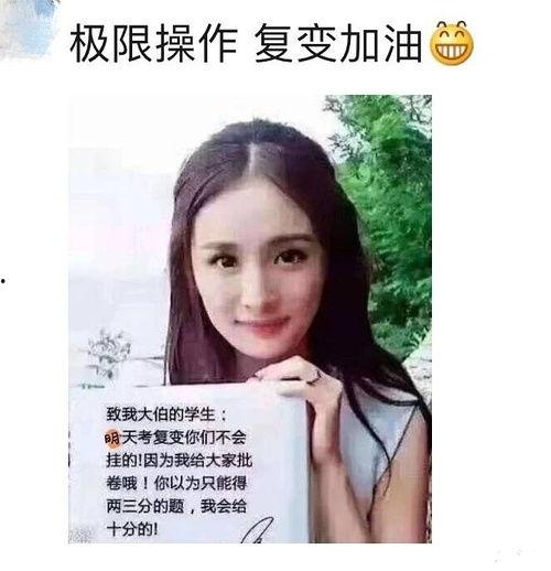 娱乐吃瓜酱纯爱,揭秘纯爱背后的甜蜜故事