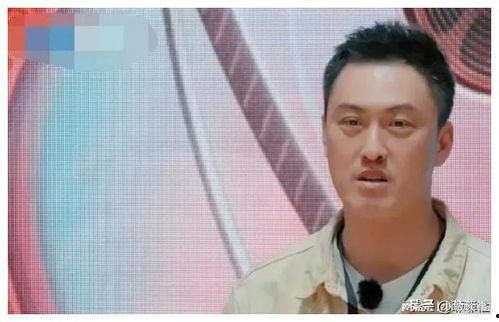 娱乐圈的瓜和我所吃的瓜